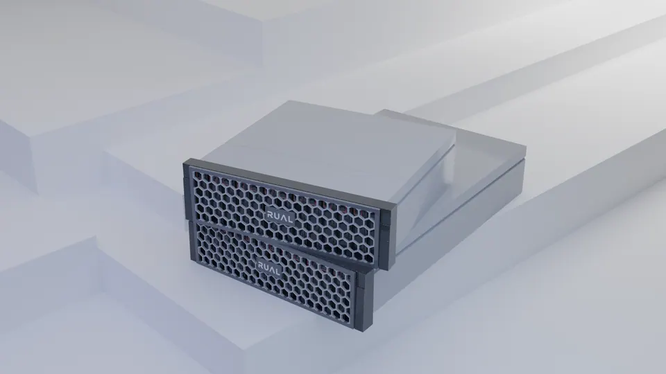 De server waarop een Professional-licentie draait