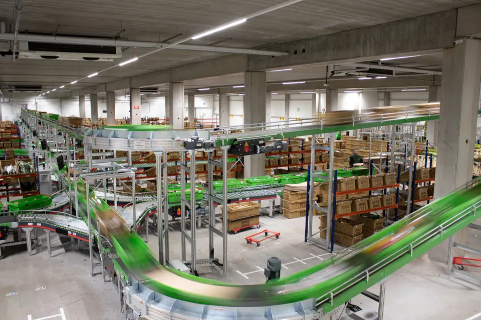 Sorteerlijn met transportbanden in het magazijn van W.K. Heyl Jr.
