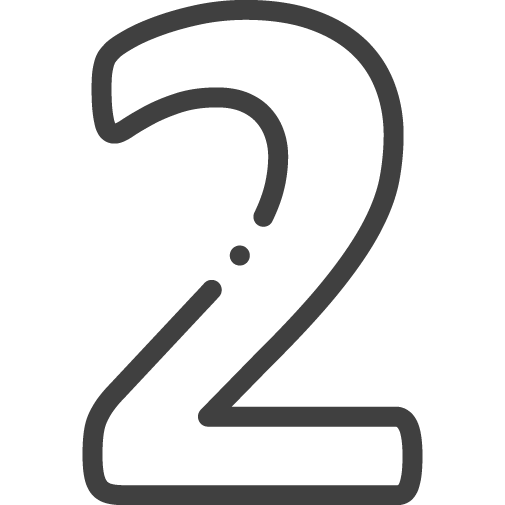 browser icon